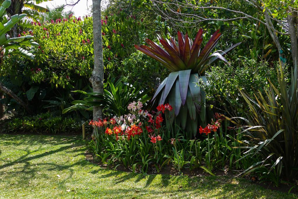 Hotel Bougainvillea San Jose Santo Domingo De Heredia Екстер'єр фото